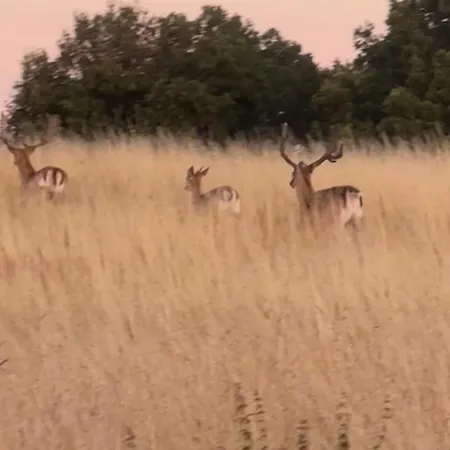 Luzin 2-5 Pers - Luxus, Steg, Boot شقة