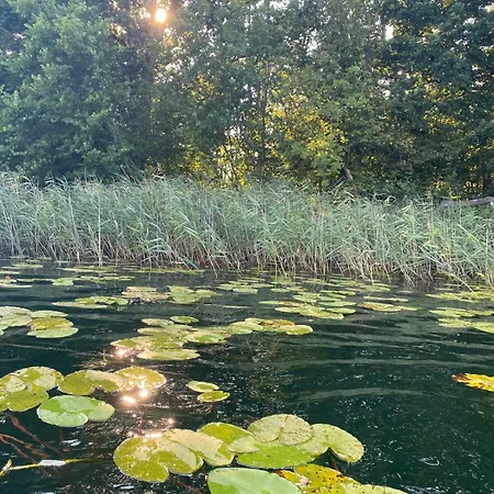 شقة Luzin 2-5 Pers - Luxus, Steg, Boot *