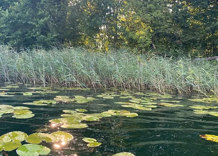 Apartment Luzin 2-5 Pers - Luxus, Steg, Boot *